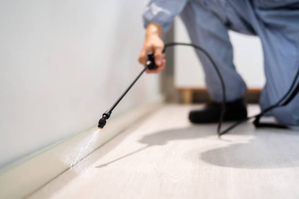 Licensed Exterminator service in South Brooksville, FL - Show Me Pest Control